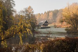 Haus am Waldrand