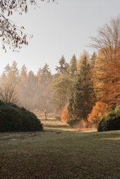 Haus am Waldrand